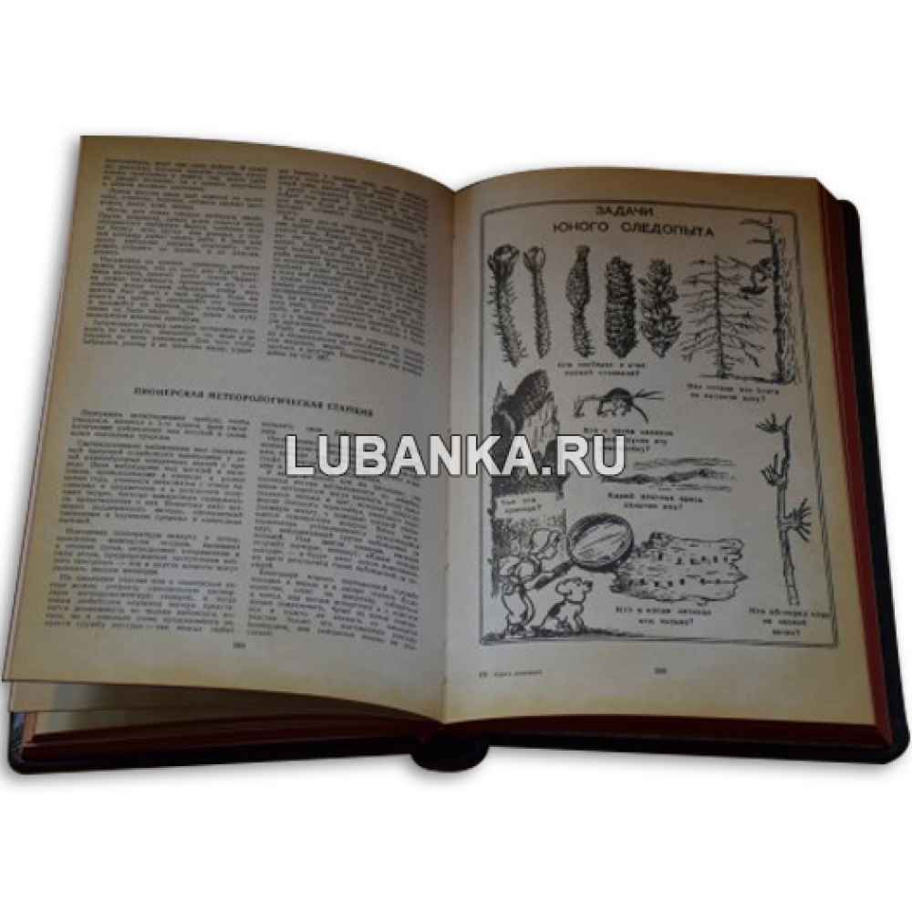 Книга «Книга Вожатого»